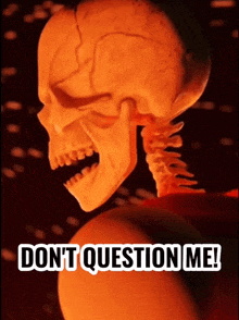 a poster with a skeleton and the words " do n't question me " on it