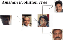 Amshan Evolution GIF - Amshan Evolution Tree GIFs