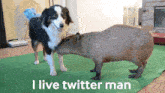 I Live Twitter Man GIF - I Live Twitter Man GIFs
