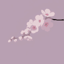 Blossom GIF - Blossom GIFs