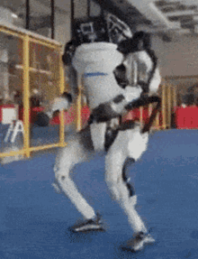GIF