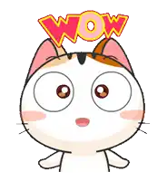 a cartoon cat with a wow sign on its head