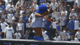 Chicago Cubs Clark The Cub GIF