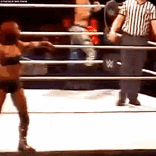 a woman in a bikini is standing in a wrestling ring .