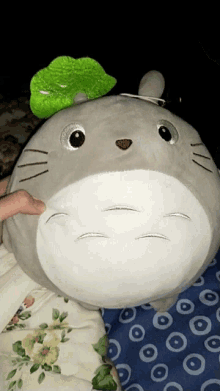 Bounce Bouncy GIF - Bounce Bouncy Totoro GIFs