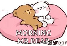 a couple of teddy bears laying on top of a pink pillow .