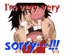 Sorry Luffy GIF - Sorry Luffy One Piece GIFs