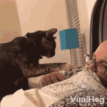 GIF