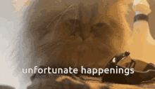 Unfortunate Cat GIF - Unfortunate Cat Happenings GIFs