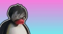 Pingu Emo Otaku Cristão GIF - Pingu Emo Otaku Cristão Oc GIFs