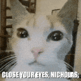 a close up of a cat 's face with the words close your eyes nicholas below it