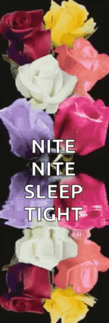 Nite Sleep Tight GIF