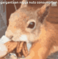 Nigga Nuts Emocean GIF - Nigga Nuts Emocean GIFs