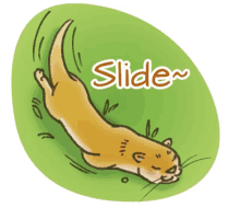 slide otter