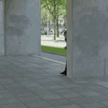 Jumping Stefano Keizers GIF