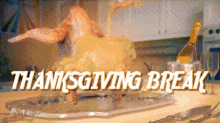 Thanksgiving Break Excited GIF - Thanksgiving Break Excited No School GIFs