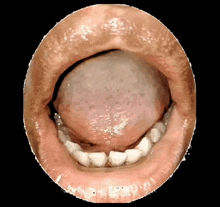 Ululate Tongue Funny Mouth GIF