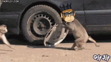 a monkey wearing sunglasses and a crown is holding a tire in front of a car wheel
