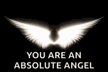 You Are An Absolute Angel White Wings GIF - You Are An Absolute Angel White Wings Angel GIFs