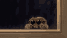 Cute Spider Spinning On The Window Ledge GIF