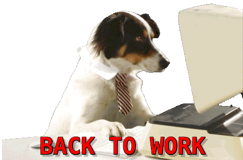 Back To Work Barking Orders Sticker - Back To Work Barking Orders Office Dog Stickers