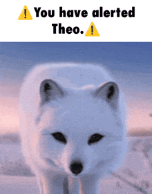You Have Alerted Theo Fox GIF