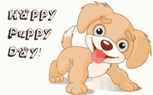 Happy Puppy Day Puppies GIF - Happy Puppy Day Puppies Greetings GIFs