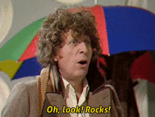 Oh Look Rocks Doctor Who GIF - Oh Look Rocks Doctor Who Tom Baker GIFs