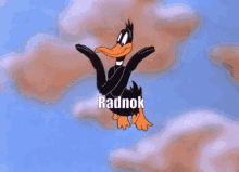 Radnok GIF - Radnok GIFs