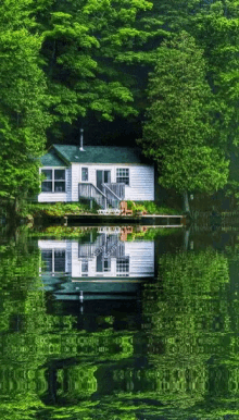 lake home reflection trees