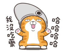 lanlancat cute cat lanlancat cute cat
