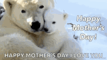 happy mothers day mothers day moms day greeting bear