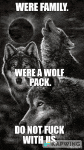 Wolf Pack Family GIF