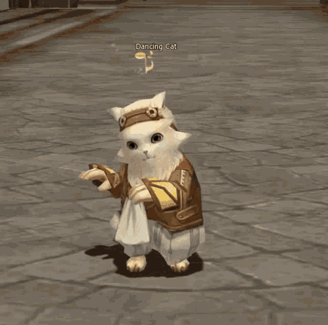 Funny cat gif