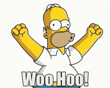 Homer Simpson Woohoo GIF