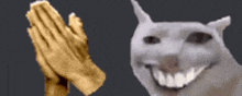 a dog is giving a high five next to a praying hand .