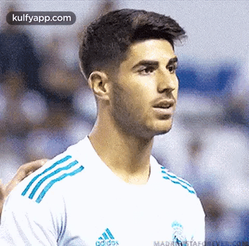 GIF - Adidosmadrastaf Marco asensio Person - Discover & Share GIFs GIF - Adidosmadrastaf Marco asensio Person - Discover & Share GIFs