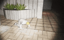 a person is crawling on a tiled floor in front of a potted plant