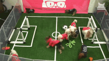 Puppies Playing Soccer Team GIF - Puppies Playing Soccer Puppi Soccer GIFs