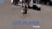 life player dog walking dog doggo cute