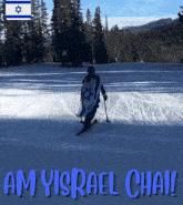 Am Yisrael Chai Ice Skating GIF