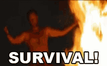 Survival Cast Away GIF - Survival Cast Away GIFs