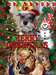 Merry Chirstmas Merry Christmas Images Gif GIF - Merry Chirstmas Merry Christmas Images Gif Nativity GIFs