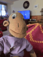 a stuffed monkey wearing a purple shirt is sitting on a couch in a living room