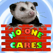 No One Cares Nobody Cares GIF