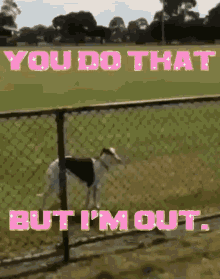 You Do That You Do That But Im Out GIF - You Do That You Do That But Im Out Funny Animals GIFs