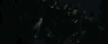 a group of people are dancing in a dark room in a dark room .