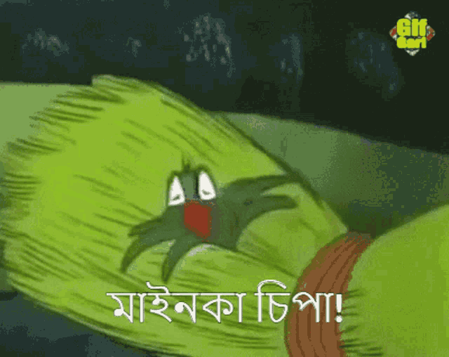 Mithu Mainka Chipa GIF - Mithu Mainka Chipa Chipa - Discover & Share GIFs