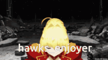 hawks enjoyer is written on a picture of a person