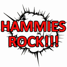 hammies hamiltonsrfc hamiltonsrugby rugby dynamiter4ths